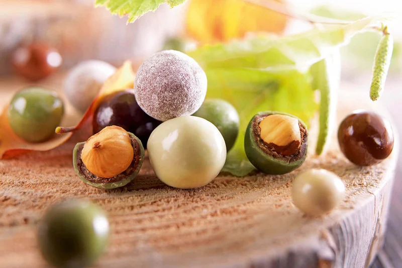 Bonbons au chocolat François Doucet Noisettes de nos Forêts 100g