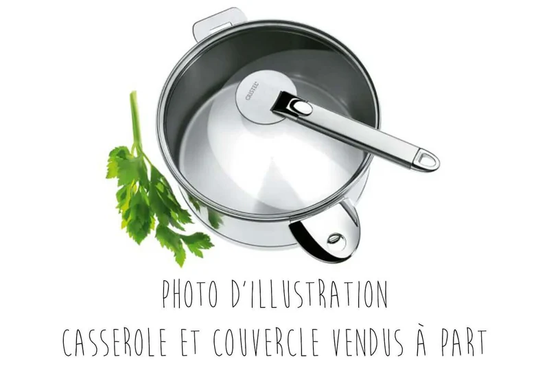 Poignée amovible Cristel Zenith 02 en inox
