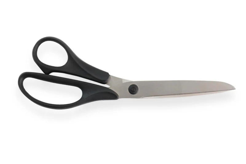 Ciseaux de cuisine multi-usages Wasa Solingen 21cm