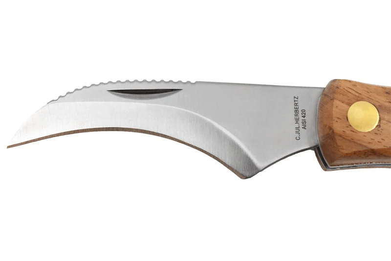 Couteau pliant à champignons Herbertz acier inox 7,5cm avec brosse