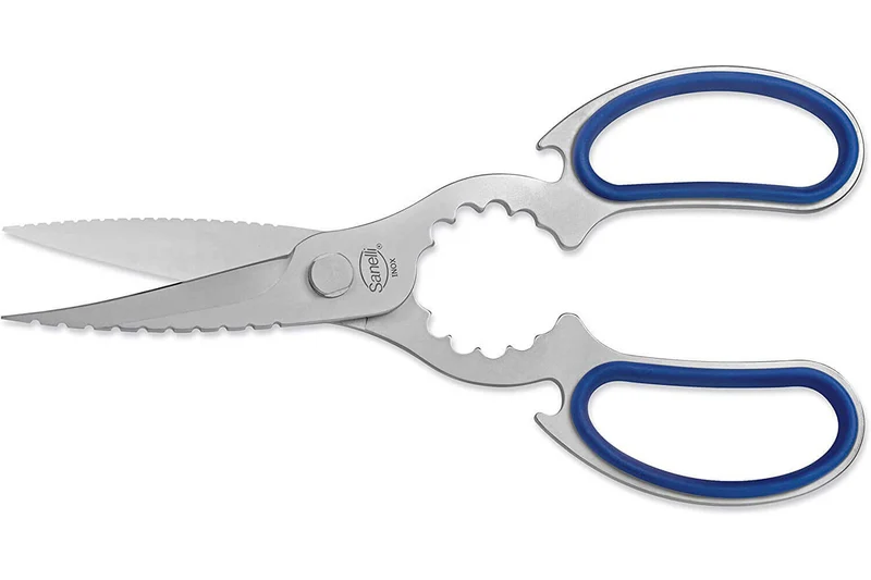 Trousse professionnelle du poissonnier 5 pièces Sanelli Skin