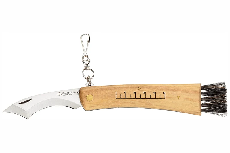 Couteau pliant à champignons Maserin manche olivier 12cm + brosse intégrée