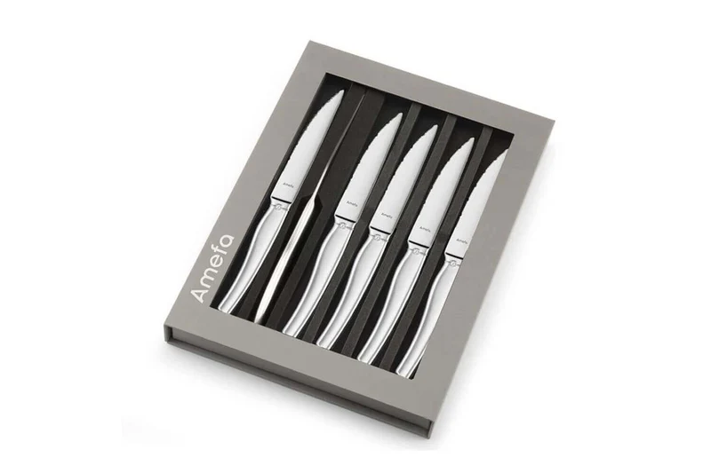 Coffret de 6 couteaux à steak Amefa Goliath tout inox