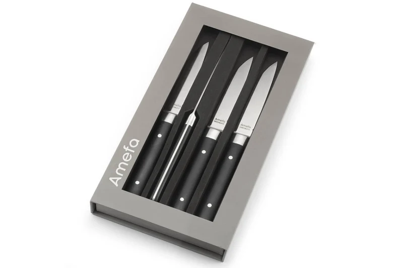 Coffret de 4 couteaux à steak Fusion Amefa