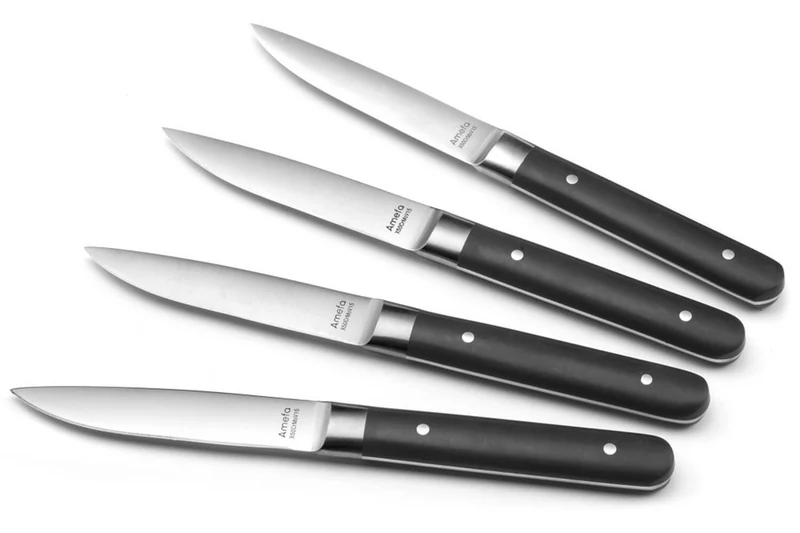 Coffret de 4 couteaux à steak Fusion Amefa