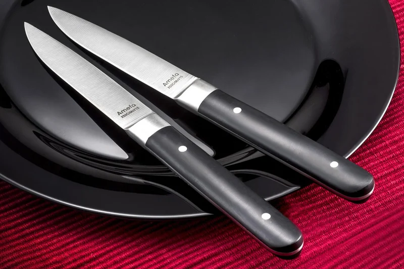 Coffret de 4 couteaux à steak Fusion Amefa