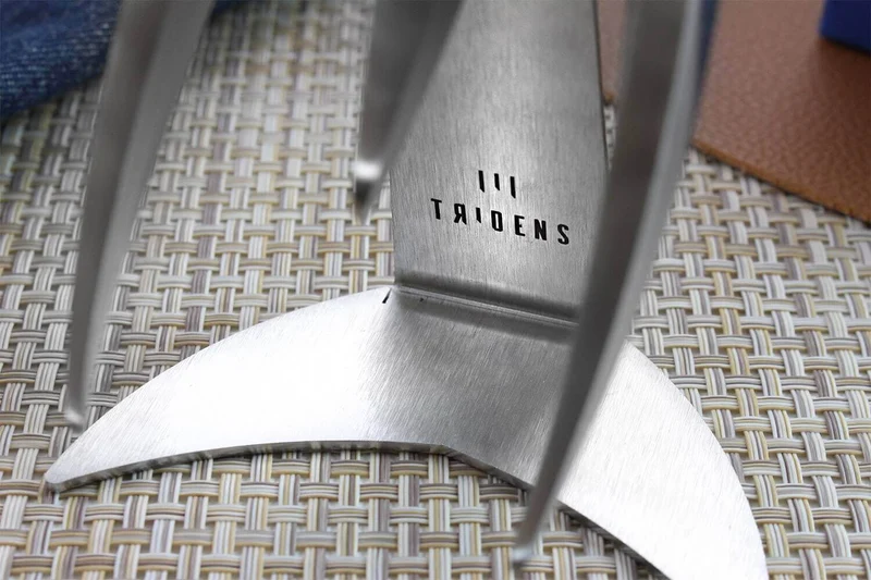 Fourchette à viande Tridens acier inox brossé + socle tout inox