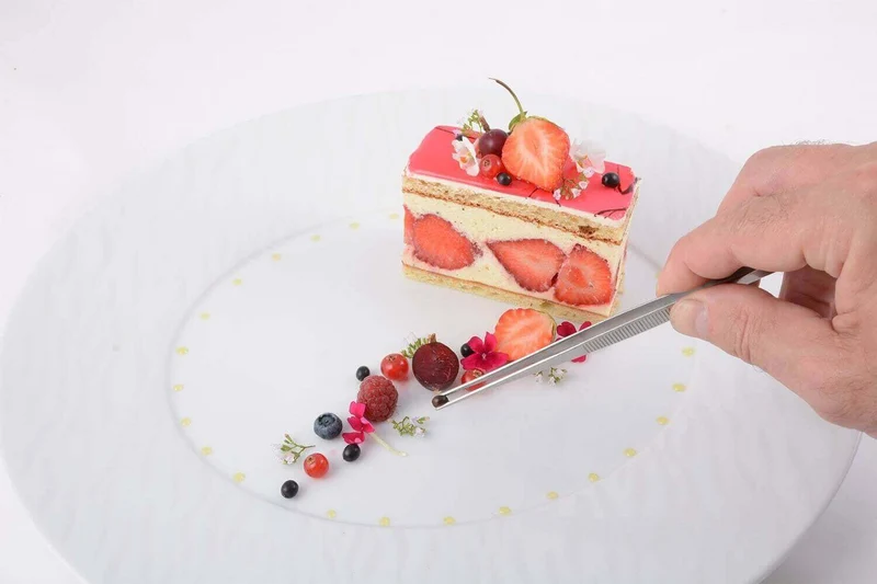 Pince à dresser professionnelle Louis Tellier 15.8cm tout inox