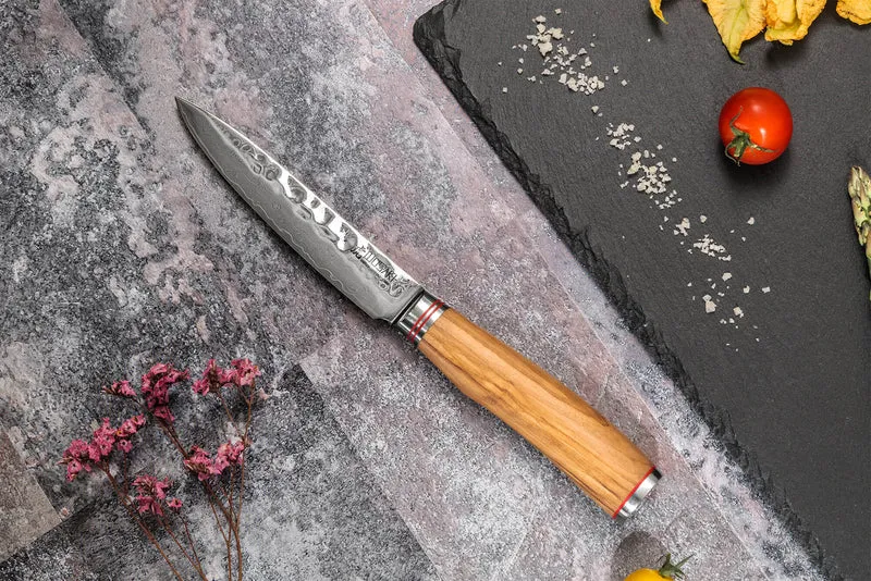 Mallette de 5 couteaux de cuisine Wusaki Damas 10Cr manches en olivier