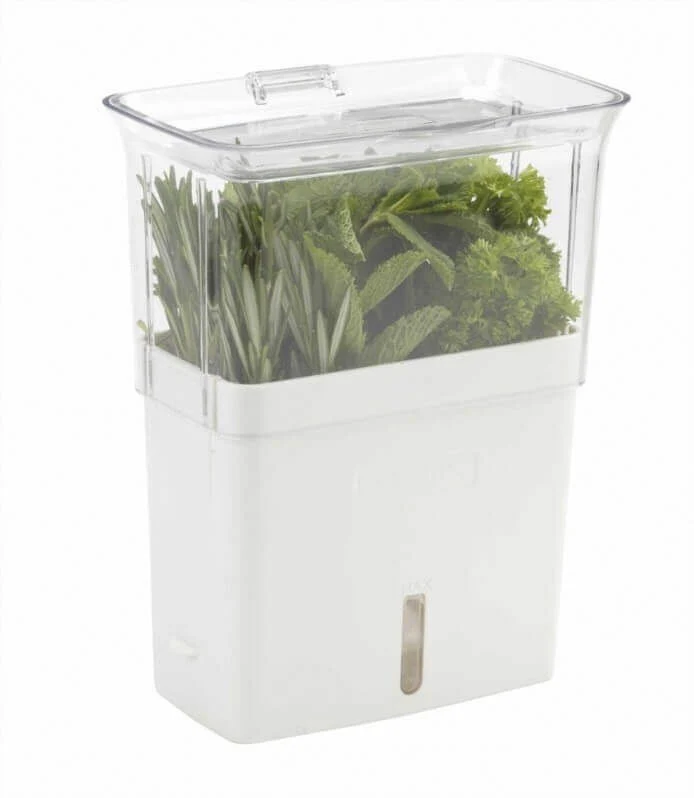 Conservateur Cole & Mason pour herbes fraiches coupées