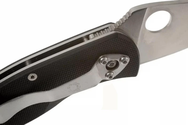 Couteau de poche Spyderco Ambitious C148GP manche en G10 9,1cm