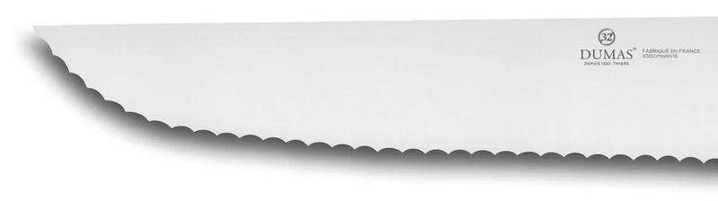 Couteau à poisson denté 32 Dumas Affil inox 35cm manche 3 rivets