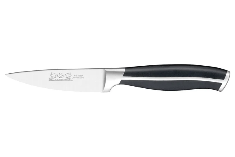 Bloc en inox + 5 couteaux Jupiter Sabatier International