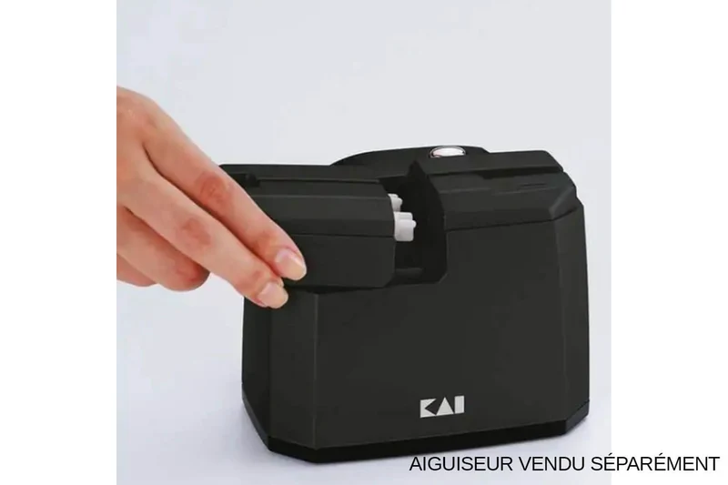 Module de polissage pour aiguiseur électrique KAI grain 400