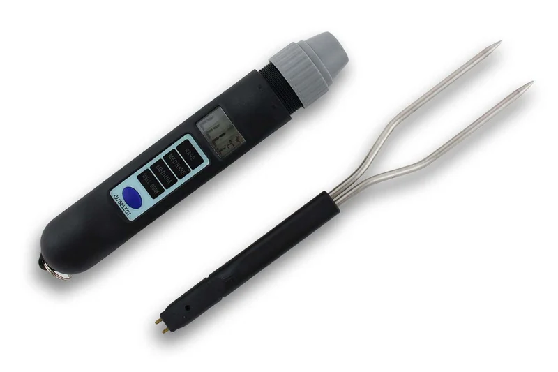 Fourchette thermomètre digitale Alla France idéale barbecue