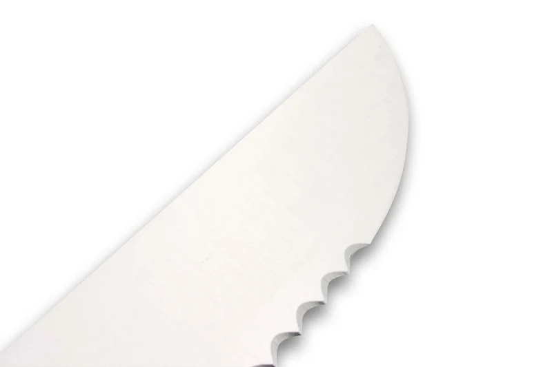 Couteau à poisson DEGLON lame 42cm grandes dents manche PP bleu